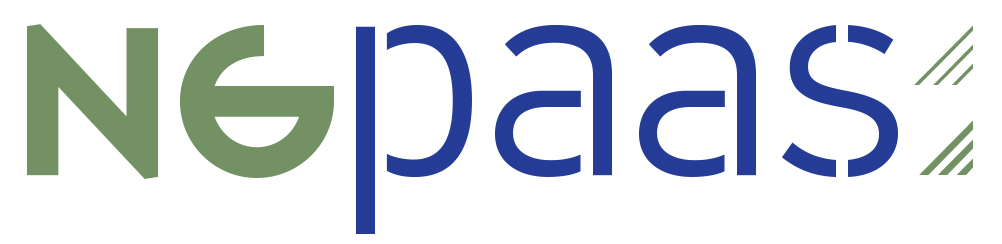 FPGA accelerators virtualization research and development for 5G/NFV