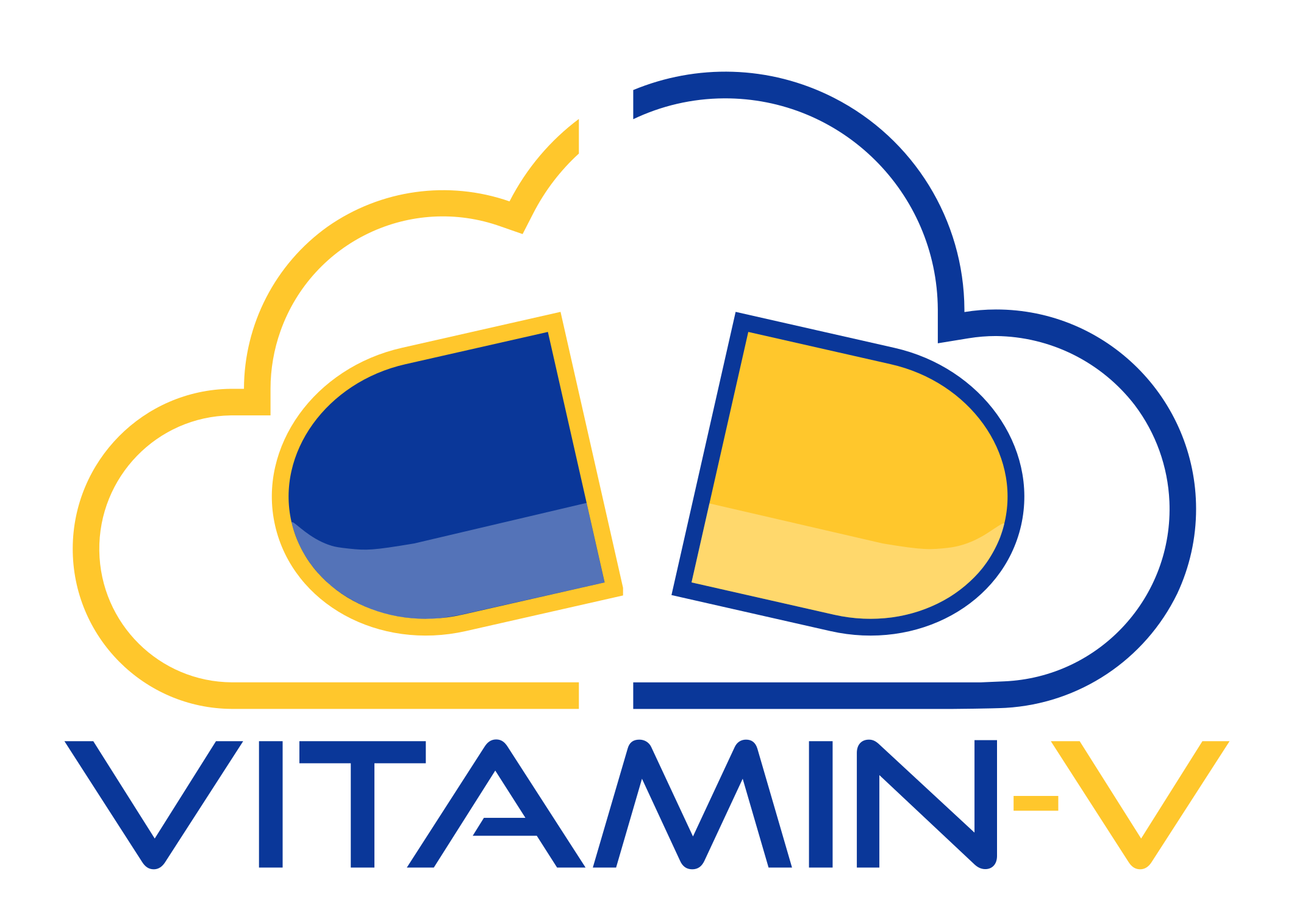 Vitamin-V horizon europe project ambitions to built the foundation of a RISC-V based european cloud